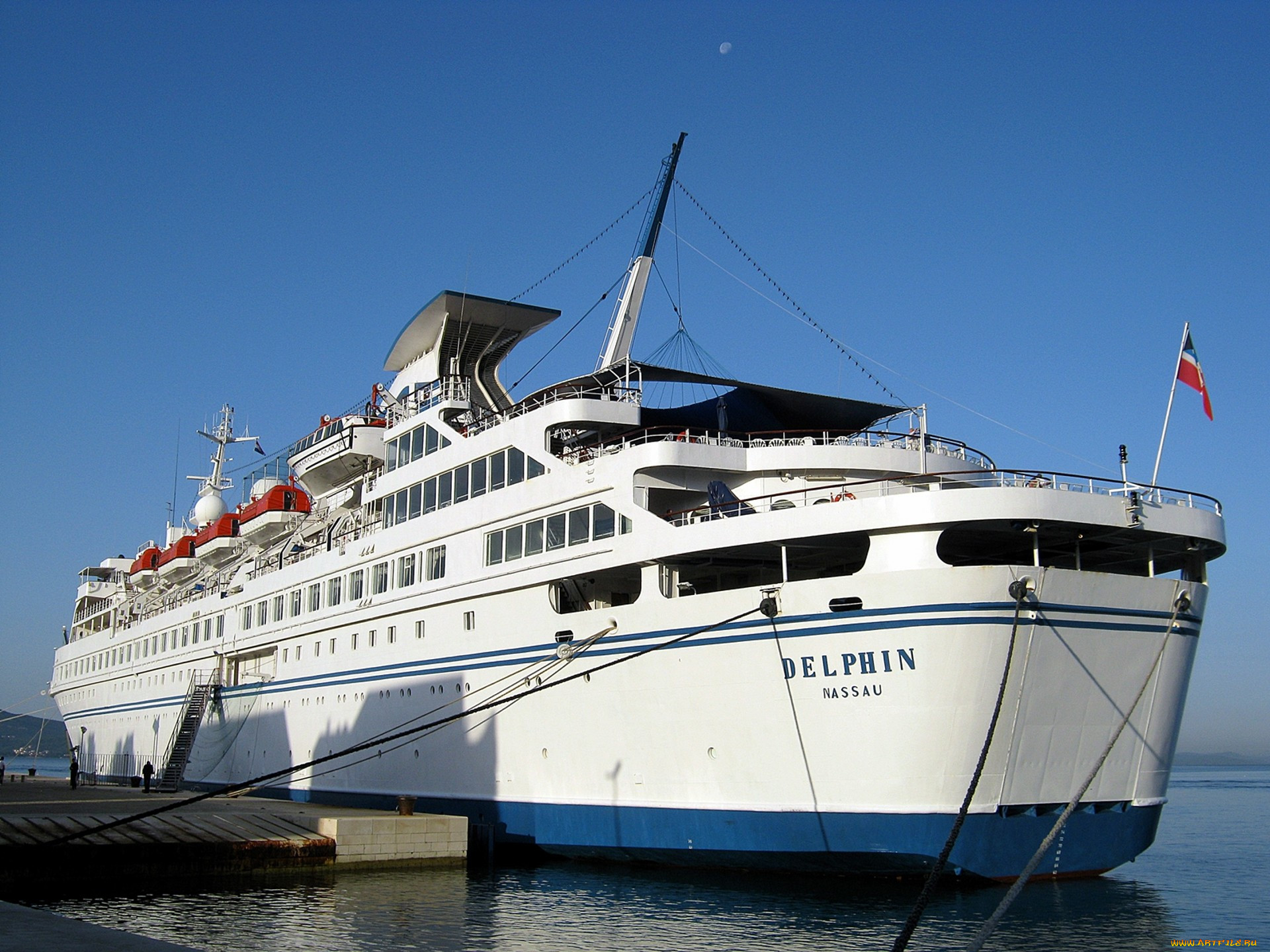 delphin, , , , 